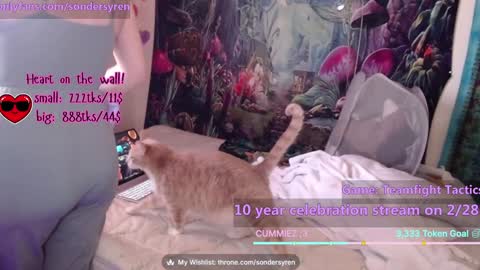 Snapshot of tricky_nymph chatting on February 2026 07:46:01 PM Cassie online show from February 2026 07:46:01 PM