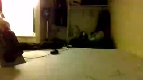Snapshot of trickydick6 chatting on June 2026 08:19:01 AM trickydick6 online show from June 2026 08:19:01 AM