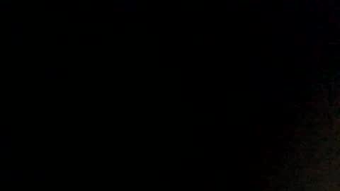 WapBopper online show from February 2025 12:28:01 PM