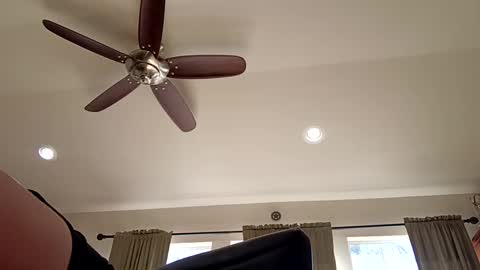 Snapshot of trillnonymau5 chatting on December 2024 06:34:01 PM trillnonymau5 online show from December 2024 06:34:01 PM