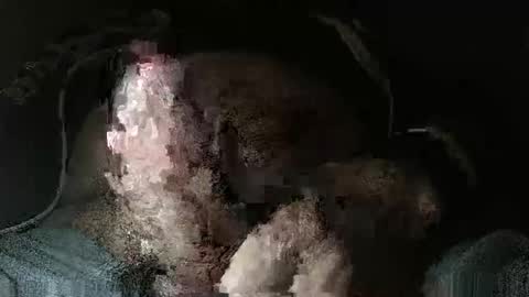 Snapshot of triponsex chatting on March 2026 09:42:02 PM triponsex online show from March 2026 09:42:02 PM