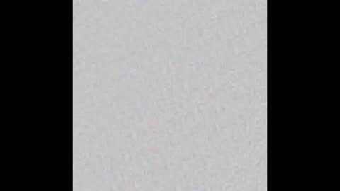 Snapshot of tropicalmadness chatting on February 2025 05:49:02 AM Archie Torres online show from February 2025 05:49:02 AM