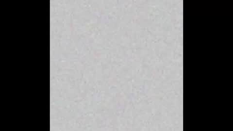 Snapshot of tropicalmadness chatting on February 2026 01:21:02 PM Archie Torres online show from February 2026 01:21:02 PM