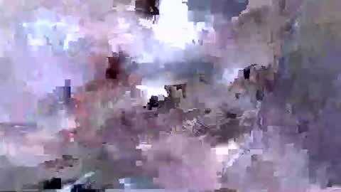 troy1965 online show from April 2026 05:45:02 AM