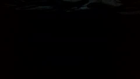 Snapshot of ttess0742 chatting on June 2026 02:36:01 AM ttess0742 online show from June 2026 02:36:01 AM