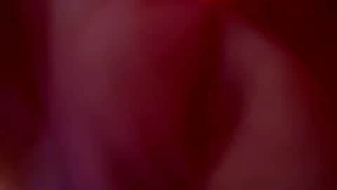 Snapshot of tu_julieta_gh chatting on October 2025 01:06:01 AM JULIETA online show from October 2025 01:06:01 AM
