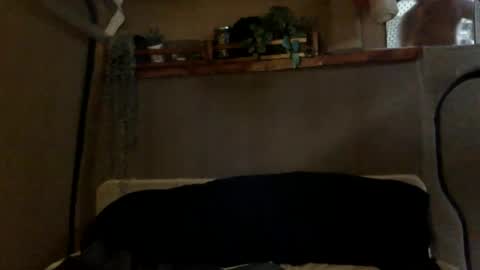 Snapshot of tuhands chatting on January 2025 03:01:02 PM Tuhands online show from January 2025 03:01:02 PM