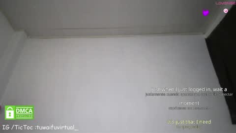 Snapshot of tuwaifuvirtual1 chatting on May 2026 01:33:01 AM Tay online show from May 2026 01:33:01 AM