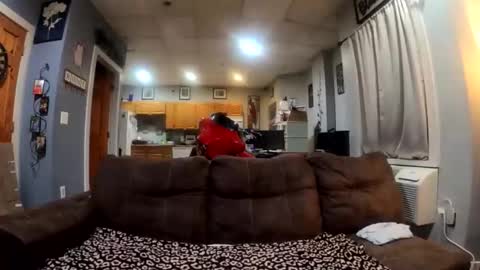 Snapshot of twicethetease2 chatting on February 2026 07:34:01 AM twicethetease2 online show from February 2026 07:34:01 AM