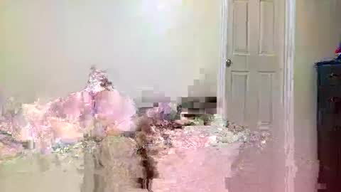 Snapshot of twinflamecaps chatting on April 2026 08:20:02 AM twinflamecaps online show from April 2026 08:20:02 AM