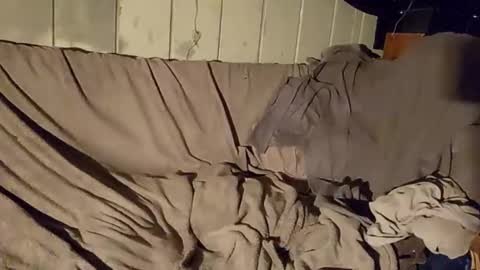 Snapshot of twistedblizzy chatting on January 2025 06:20:02 PM TwistedBlizzy online show from January 2025 06:20:02 PM