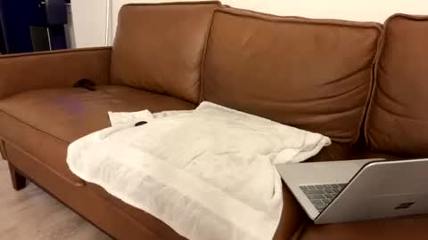 txguybi online show from August 2026 03:53:02 AM