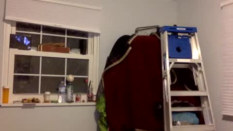 Snapshot of tylerdurden256 chatting on February 2025 07:15:01 AM Tyler Durden online show from February 2025 07:15:01 AM