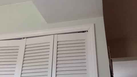 Snapshot of tylerdurden256 chatting on March 2025 03:38:02 PM Tyler Durden online show from March 2025 03:38:02 PM