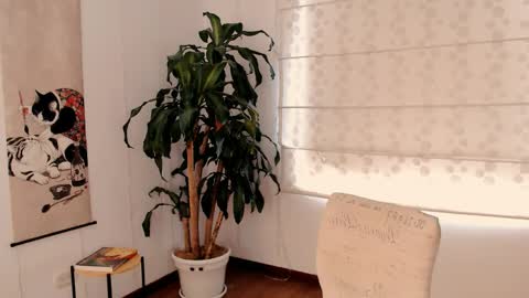 Martina online show from May 2026 04:04:02 PM