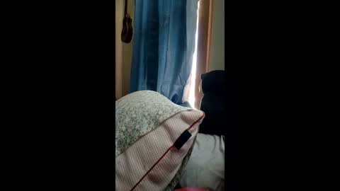 ummm1212 online show from March 2026 06:32:01 PM