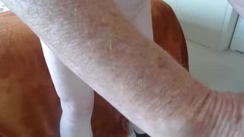 Uncle online show from April 2026 08:53:02 AM