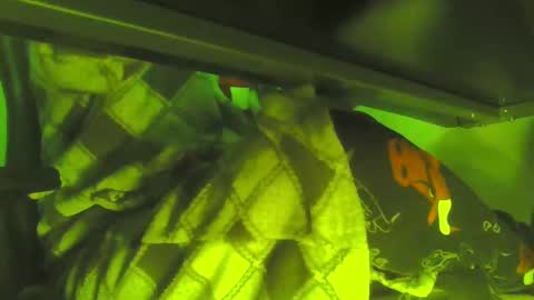 uncleremusway online show from January 2025 05:11:01 AM