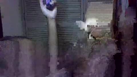 uncut2506 online show from March 2026 07:13:02 AM