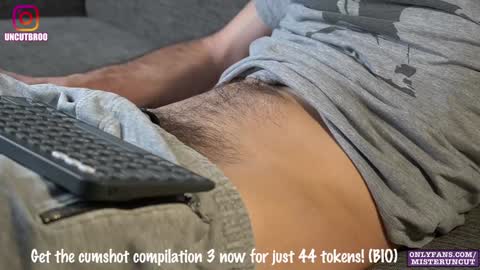 Snapshot of uncutgerman420 chatting on December 2024 09:28:01 PM Mister Uncut online show from December 2024 09:28:01 PM