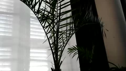 Snapshot of uncutlover1000 chatting on October 2025 07:04:02 AM patricia online show from October 2025 07:04:02 AM