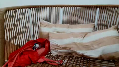 Snapshot of underground33 chatting on January 2025 08:57:02 PM Under Huge cock with beautiful uncut foreskin online show from January 2025 08:57:02 PM