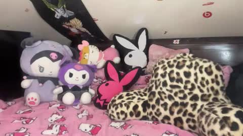 Snapshot of urlittlekittylana chatting on January 2026 03:23:02 AM urlittlekittylana online show from January 2026 03:23:02 AM