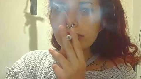 Aniie online show from March 2026 11:04:01 AM