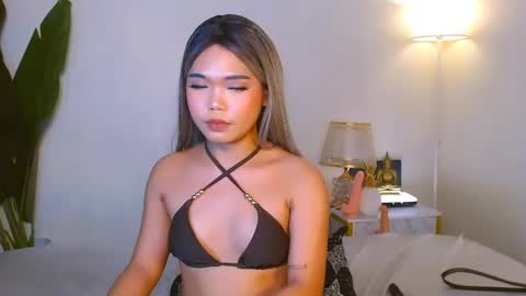 Urwildest farrah online show from May 2026 04:04:02 PM