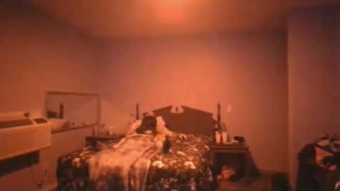 us24u888 online show from November 2025 02:21:01 AM