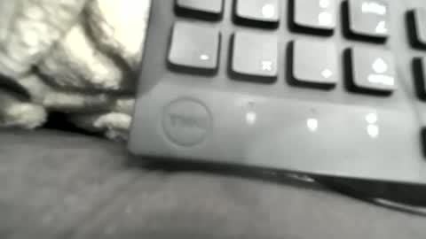 BamBam online show from January 2026 03:10:01 AM