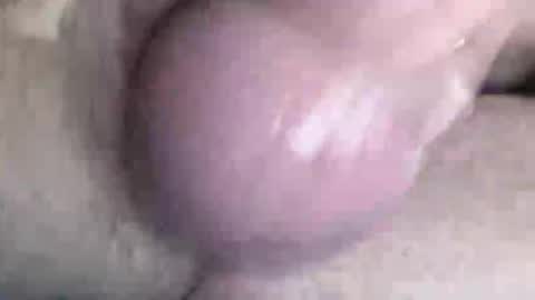 Tonight i need watchers thanks online show from December 2025 07:40:02 PM