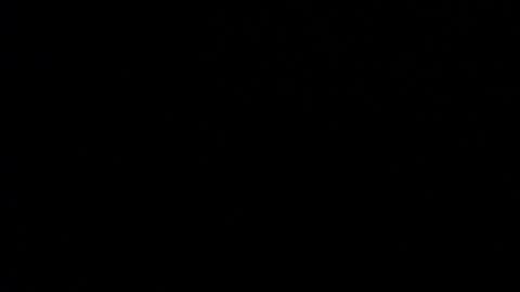 Valen Scott online show from January 2025 11:32:01 AM