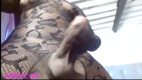 valencutt online show from November 2025 06:39:01 PM