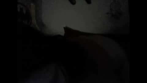Snapshot of valeria06 chatting on February 2025 06:55:01 AM Valeria online show from February 2025 06:55:01 AM