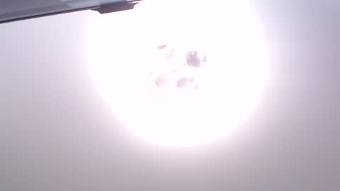 Van online show from December 2025 05:08:02 PM