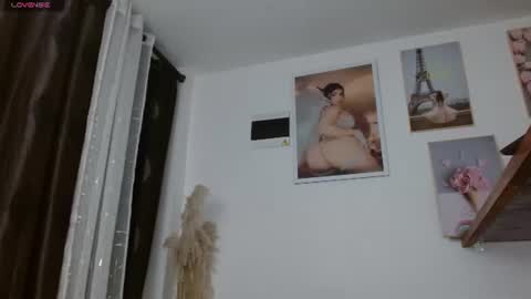 Snapshot of vanessa_brett_1 chatting on July 2026 06:47:02 AM vanessa online show from July 2026 06:47:02 AM
