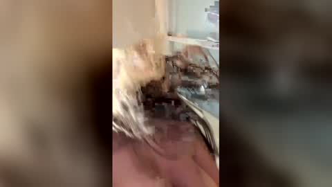 vanessareed_ online show from May 2026 09:33:02 PM