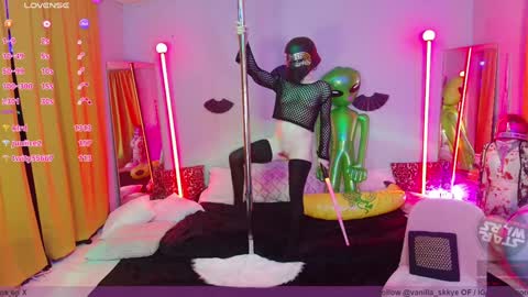 Snapshot of vanilla_skkye chatting on December 2024 03:28:02 AM Skkye online show from December 2024 03:28:02 AM