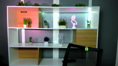 veldi_to online show from February 2026 07:34:02 PM