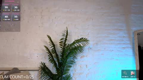 CLEOshort hair  TIna long hair  online show from February 2025 05:45:01 PM