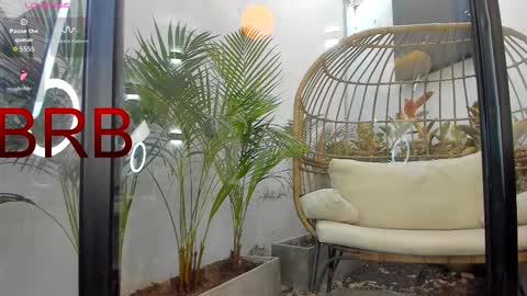 VENUS online show from February 2026 01:20:02 PM