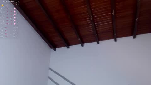 Snapshot of venusevans1 chatting on December 2024 11:26:02 PM Venus Evans online show from December 2024 11:26:02 PM