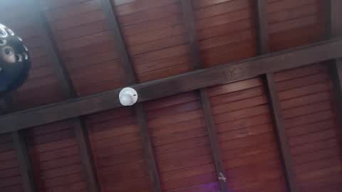 Snapshot of venusevans1 chatting on February 2025 02:56:02 AM Venus Evans online show from February 2025 02:56:02 AM