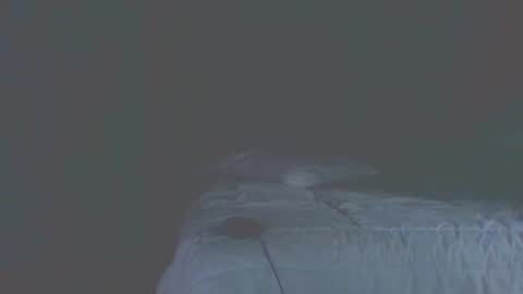 vergagolosa22 online show from November 2025 07:02:02 PM