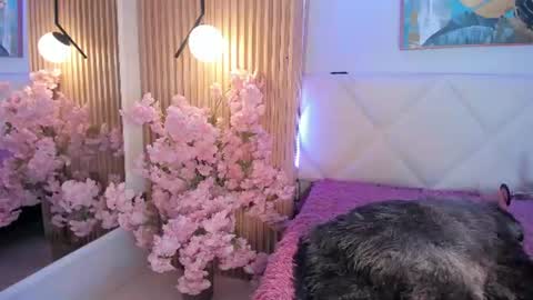 Snapshot of veronica_hill_ chatting on July 2026 03:11:02 AM veronica_hill_ online show from July 2026 03:11:02 AM
