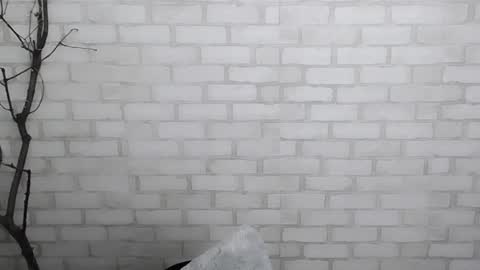 Ana online show from December 2024 03:59:02 PM