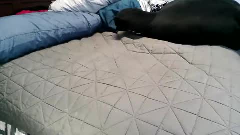 Vexnew online show from November 2025 06:51:01 PM