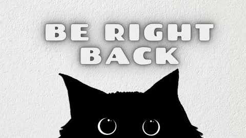 Snapshot of vi_anaya chatting on February 2026 11:50:01 AM Anaya online show from February 2026 11:50:01 AM