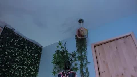 Victoria   online show from March 2026 10:05:01 PM